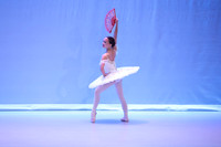 2049 BROOKLYN TRAN-12