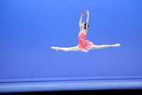 351 ALICE LI-15