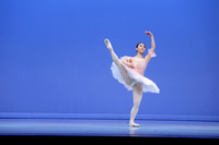 376 LILY QIN-15