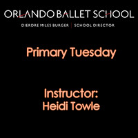 Primary Tuesday - Heidi Towle