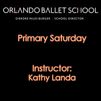 Primary Saturday - Kathy Landa